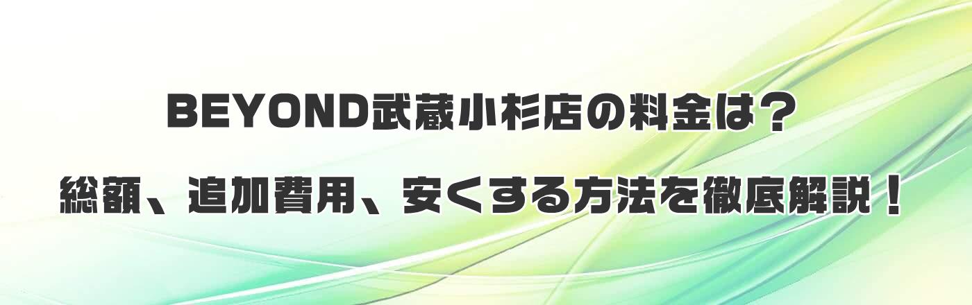 BEYONDX̗́HzAǉpA@OI